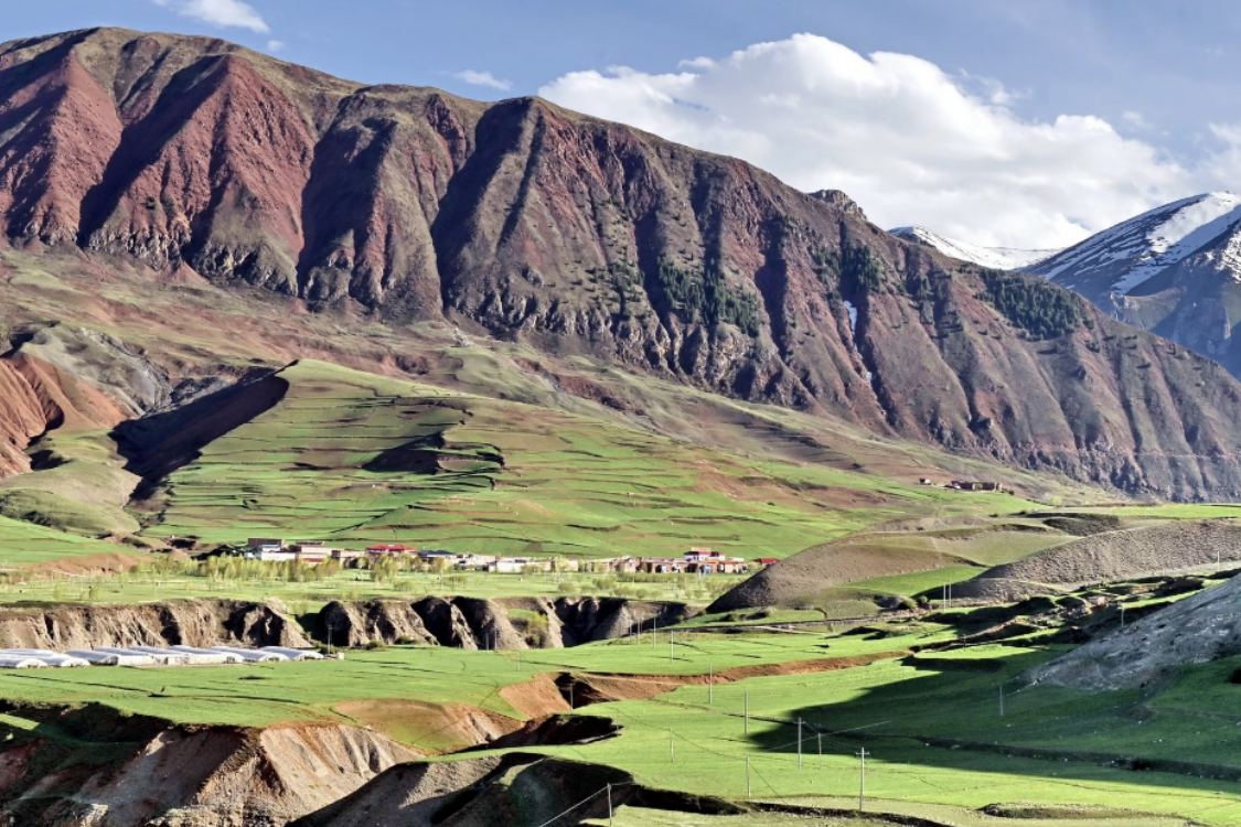 Nagqu Alpine Grassland